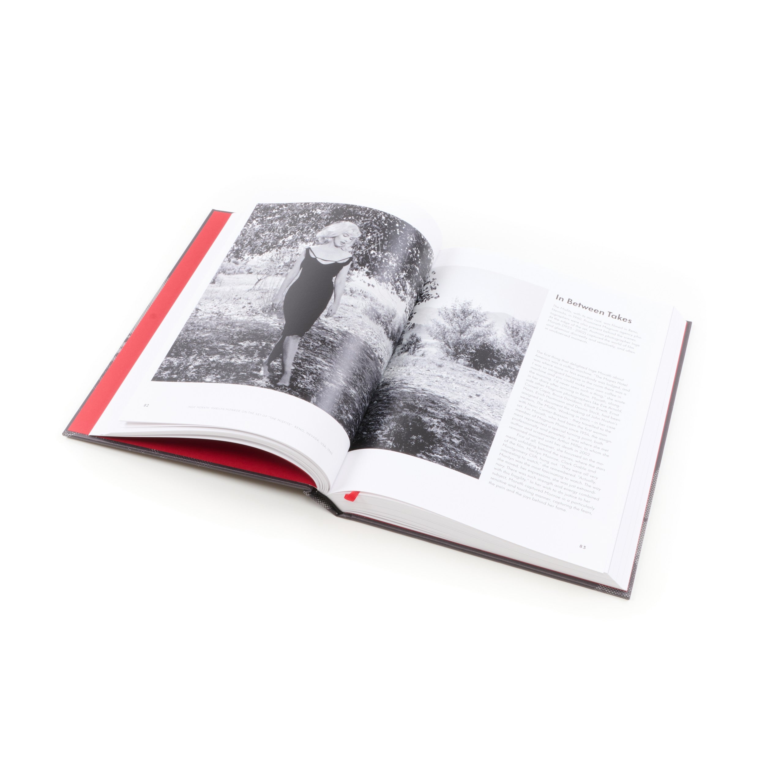 Leica Book - 100 Leica Stories